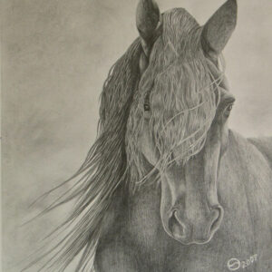 Friesian Goddess