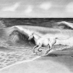Racing the Waves
